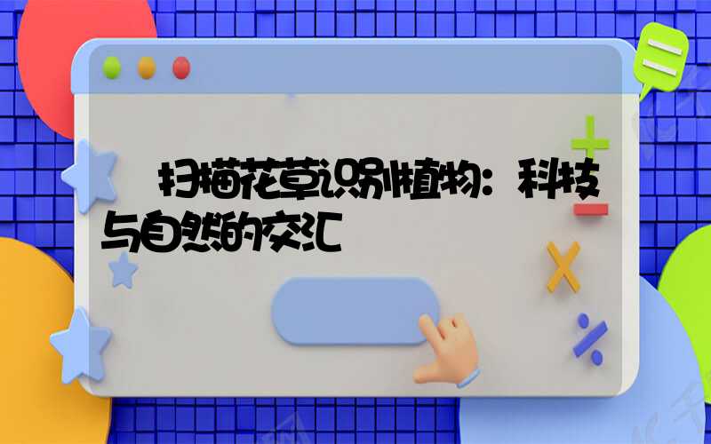  扫描花草识别植物：科技与自然的交汇